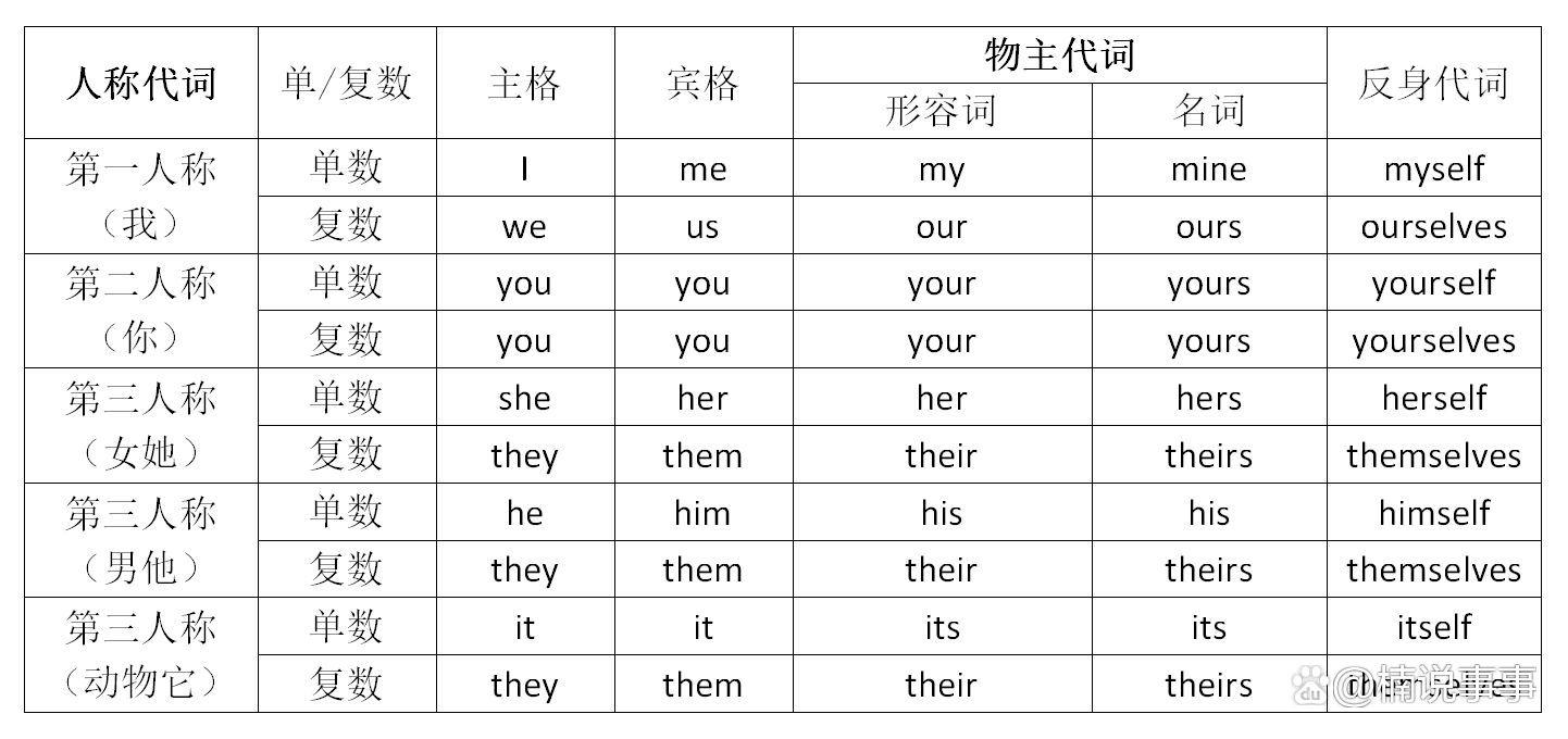 代词用英语怎么说,代词用英语怎么说??(今日头条已更新)-第6张图片-家教网 代词用英语怎么说,代词用英语怎么说??(今日头条已更新)-第6张图片-家教网