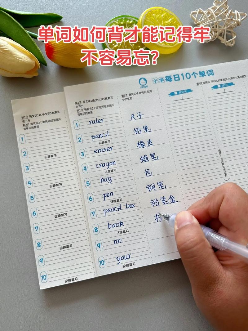怎么快速背英语单词?怎么快速背英语单词方法?(知乎)-第4张图片-家教网 怎么快速背英语单词?怎么快速背英语单词方法?(知乎)-第4张图片-家教网