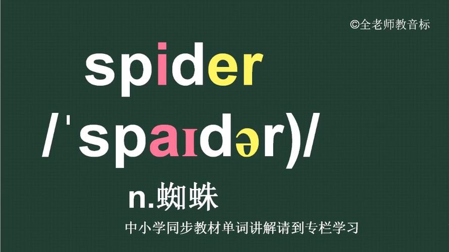 蜘蛛用英语怎么说?蜘蛛用英语怎么说读音是什么?(知乎)-第5张图片-家教网 蜘蛛用英语怎么说?蜘蛛用英语怎么说读音是什么?(知乎)-第5张图片-家教网