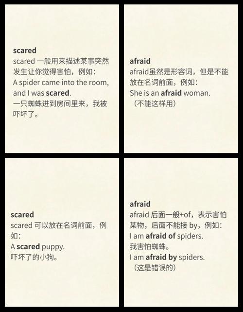害怕用英语怎么说,他为什么害怕用英语怎么说?(今日头条已更新)-第5张图片-家教网 害怕用英语怎么说,他为什么害怕用英语怎么说?(今日头条已更新)-第5张图片-家教网