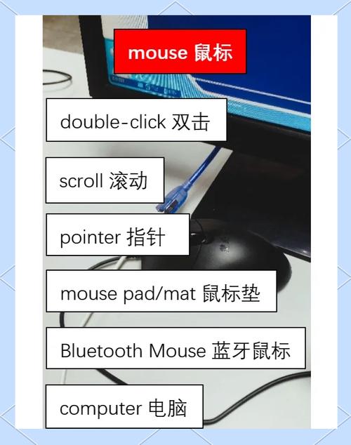 点击用英语怎么说,点击的英语单词怎么读(2024头条知乎已更新)-第4张图片-家教网 点击用英语怎么说,点击的英语单词怎么读(2024头条知乎已更新)-第4张图片-家教网