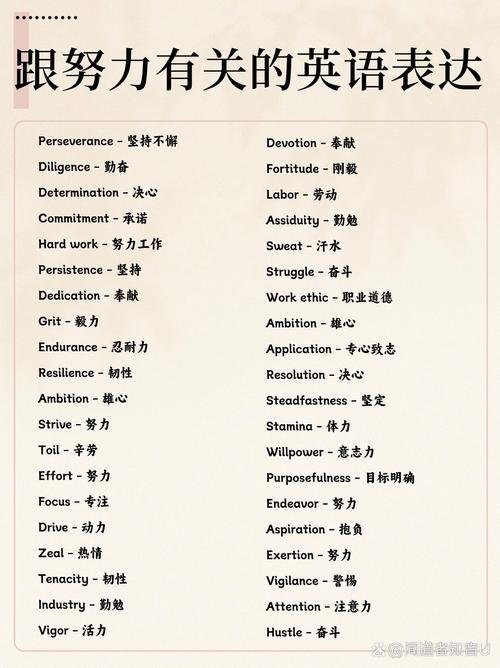 经验英语怎么说,经验英语怎么说读(2024头条知乎已更新)-第1张图片-家教网 经验英语怎么说,经验英语怎么说读(2024头条知乎已更新)-第1张图片-家教网