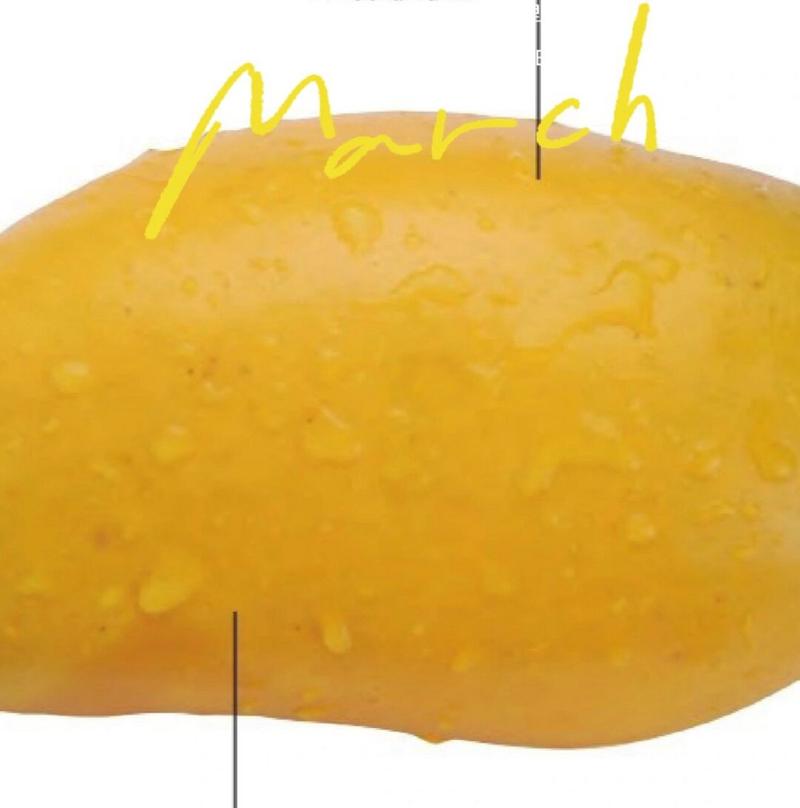 芒果的英语怎么说,芒果的英语怎么说mango(2024头条知乎已更新)-第2张图片-家教网 芒果的英语怎么说,芒果的英语怎么说mango(2024头条知乎已更新)-第2张图片-家教网