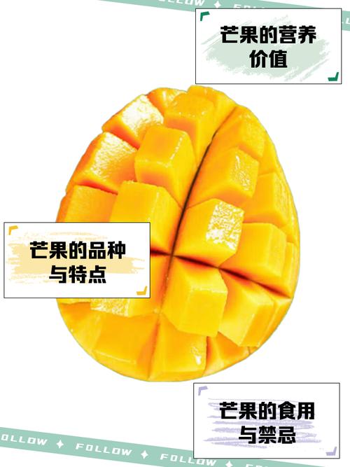 芒果的英语怎么说,芒果的英语怎么说mango(2024头条知乎已更新)-第4张图片-家教网 芒果的英语怎么说,芒果的英语怎么说mango(2024头条知乎已更新)-第4张图片-家教网