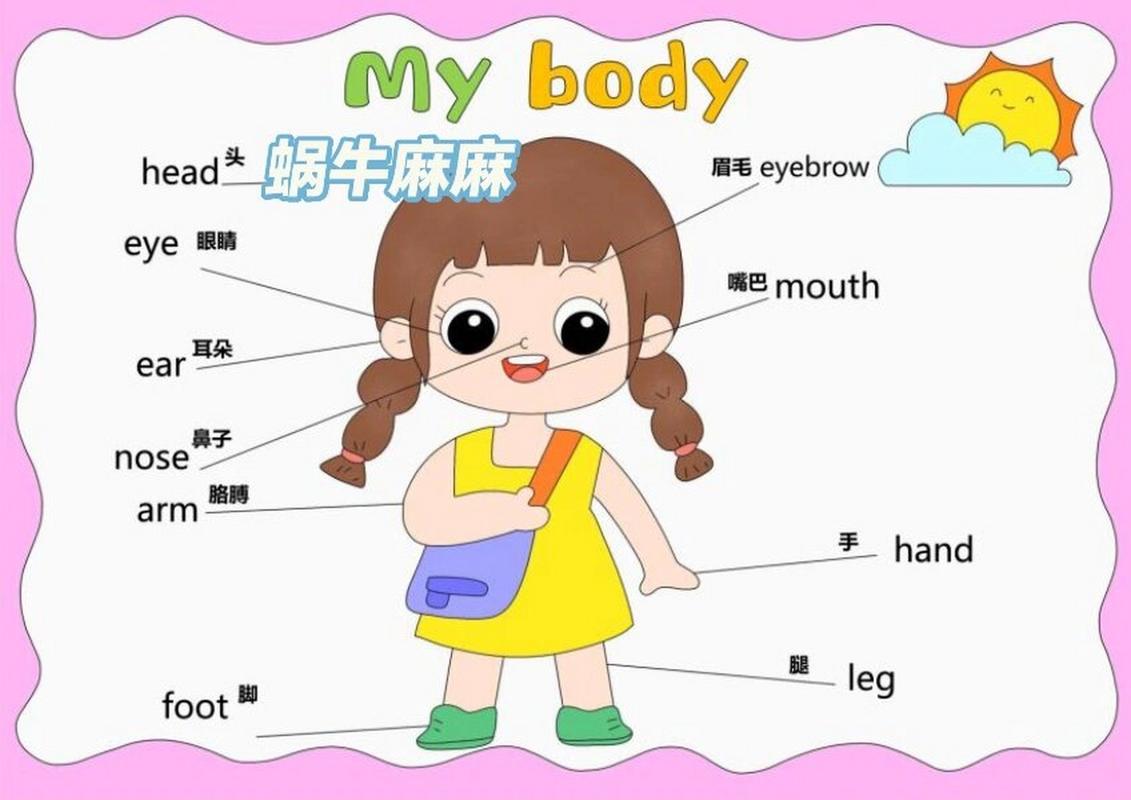 下巴英语怎么说?下巴的英语怎么写?(知乎)-第2张图片-家教网 下巴英语怎么说?下巴的英语怎么写?(知乎)-第2张图片-家教网