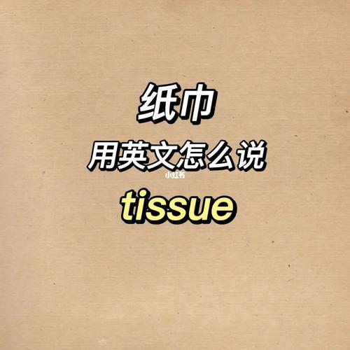 纸巾用英语怎么说?纸巾用英语怎么拼?(知乎)-第2张图片-家教网 纸巾用英语怎么说?纸巾用英语怎么拼?(知乎)-第2张图片-家教网