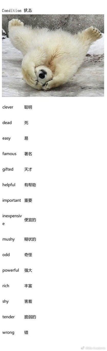 完全用英语怎么说?全完全用英语怎么说?(知乎)-第2张图片-家教网 完全用英语怎么说?全完全用英语怎么说?(知乎)-第2张图片-家教网