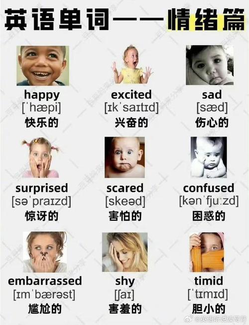 心情用英语怎么说,保持一个好心情用英语怎么说(2024头条知乎已更新)-第5张图片-家教网 心情用英语怎么说,保持一个好心情用英语怎么说(2024头条知乎已更新)-第5张图片-家教网
