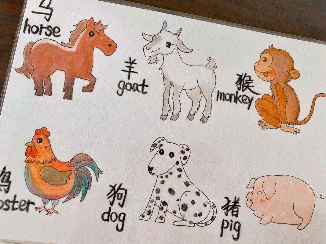 生肖用英语怎么说?生肖用英语怎么说??(知乎)-第4张图片-家教网 生肖用英语怎么说?生肖用英语怎么说??(知乎)-第4张图片-家教网
