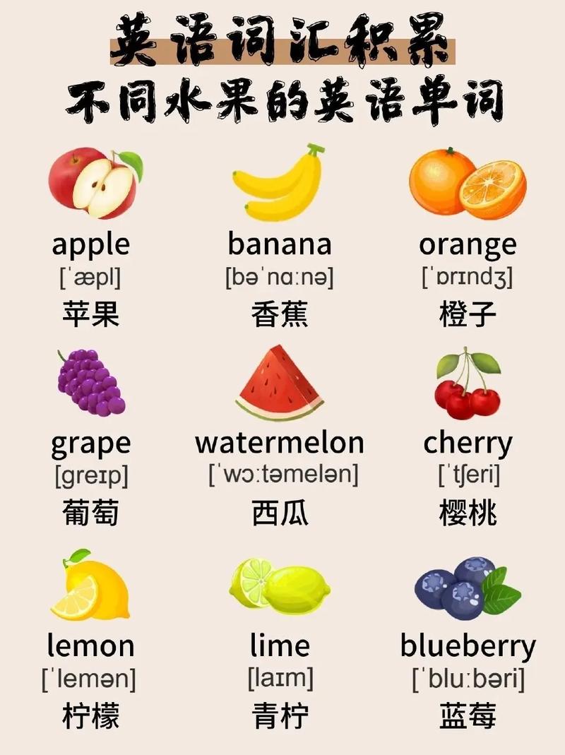 各种各样的英语怎么说,各种各样的用英语怎么表达?(今日头条已更新)-第4张图片-家教网 各种各样的英语怎么说,各种各样的用英语怎么表达?(今日头条已更新)-第4张图片-家教网