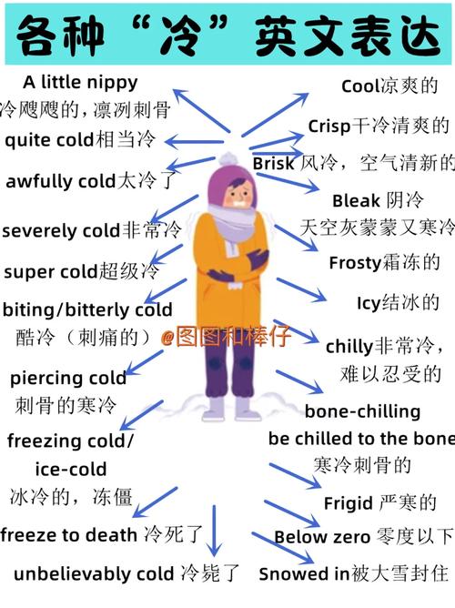 冷的英语怎么说?不不冷的英语怎么说?(知乎)-第4张图片-家教网 冷的英语怎么说?不不冷的英语怎么说?(知乎)-第4张图片-家教网