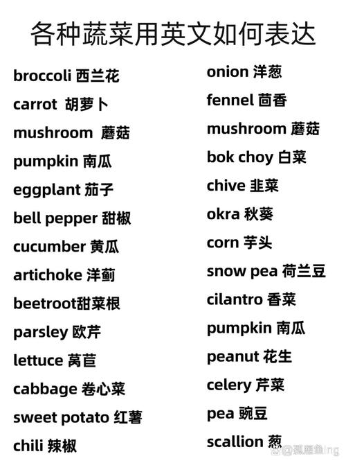蔬菜英语怎么说,沙拉英语怎么说(2024头条知乎已更新)-第2张图片-家教网 蔬菜英语怎么说,沙拉英语怎么说(2024头条知乎已更新)-第2张图片-家教网