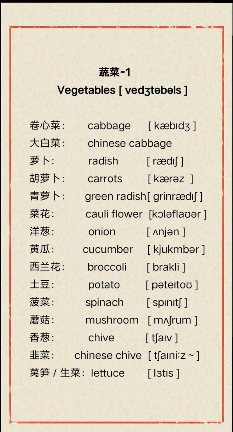 蔬菜英语怎么说,沙拉英语怎么说(2024头条知乎已更新)-第5张图片-家教网 蔬菜英语怎么说,沙拉英语怎么说(2024头条知乎已更新)-第5张图片-家教网