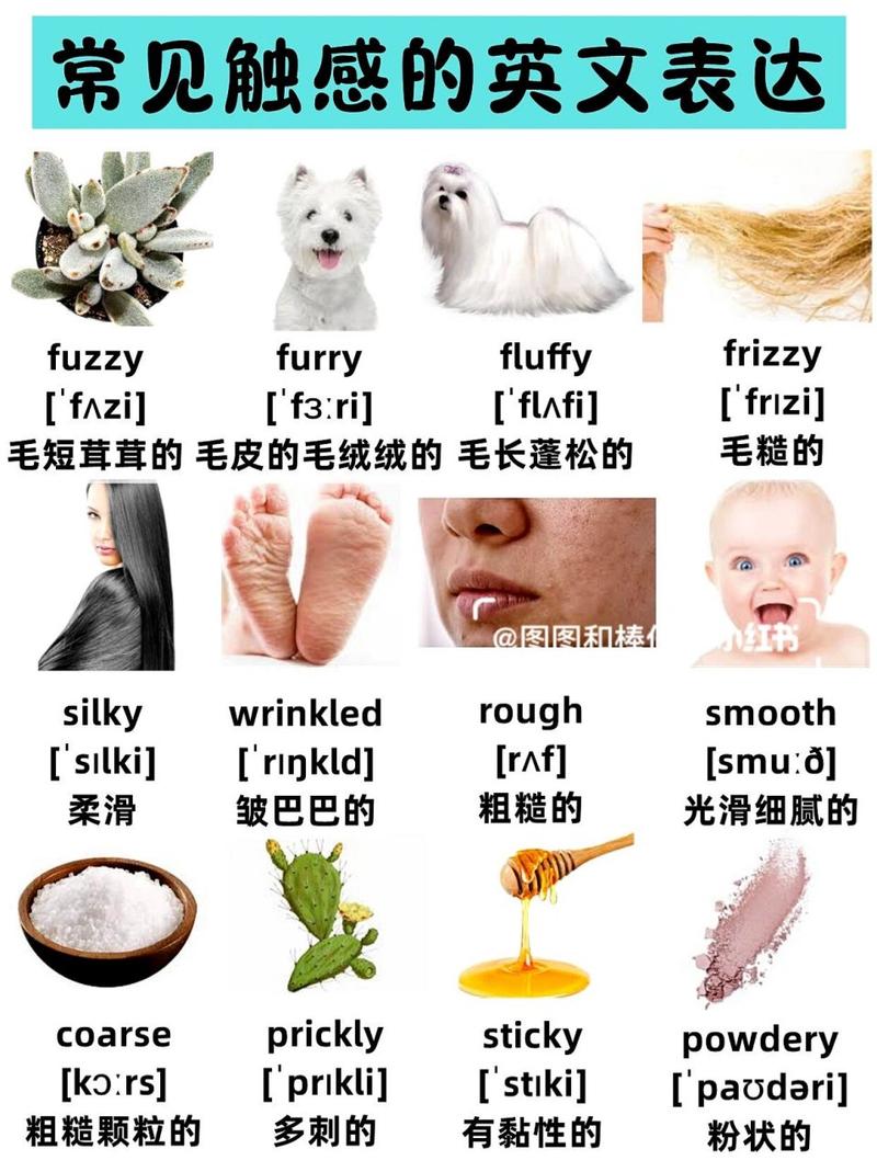 谁的英语怎么说?这本书是谁的英语怎么说?(知乎)-第6张图片-家教网 谁的英语怎么说?这本书是谁的英语怎么说?(知乎)-第6张图片-家教网