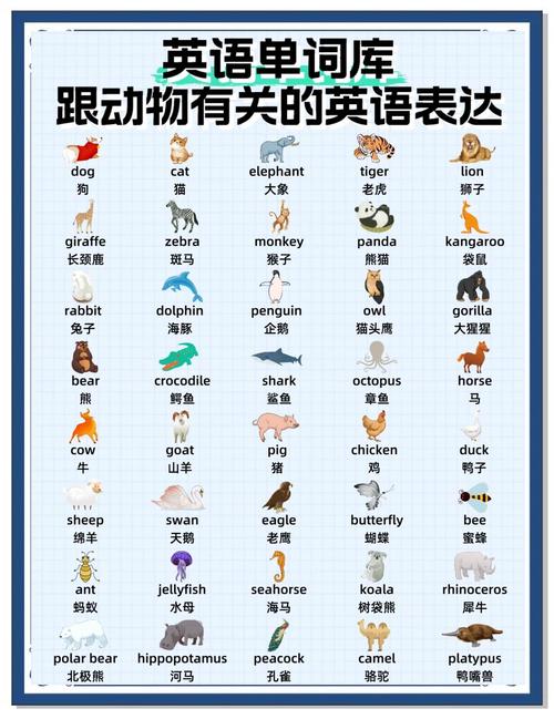驴英语怎么说,驴英语怎么说读音发音?(今日头条已更新)-第3张图片-家教网 驴英语怎么说,驴英语怎么说读音发音?(今日头条已更新)-第3张图片-家教网