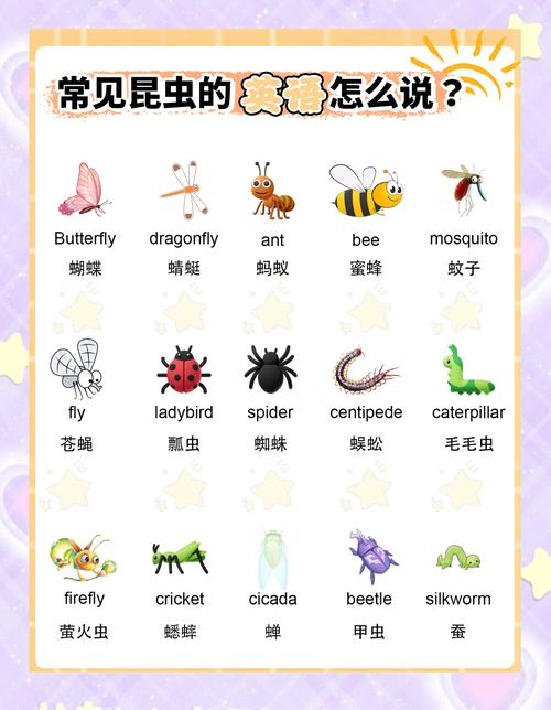 虫子英语怎么说,他们吃虫子英语怎么说(2024头条知乎已更新)-第2张图片-家教网 虫子英语怎么说,他们吃虫子英语怎么说(2024头条知乎已更新)-第2张图片-家教网