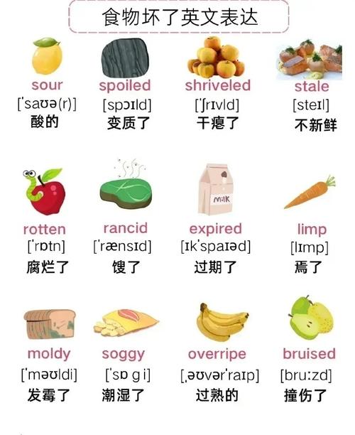 生活英语怎么说,初中生活英语怎么说(2024头条知乎已更新)-第1张图片-家教网 生活英语怎么说,初中生活英语怎么说(2024头条知乎已更新)-第1张图片-家教网