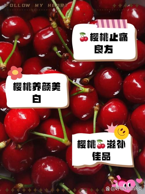 樱桃用英语怎么说,草莓用英语怎么说?(今日头条已更新)-第2张图片-家教网 樱桃用英语怎么说,草莓用英语怎么说?(今日头条已更新)-第2张图片-家教网