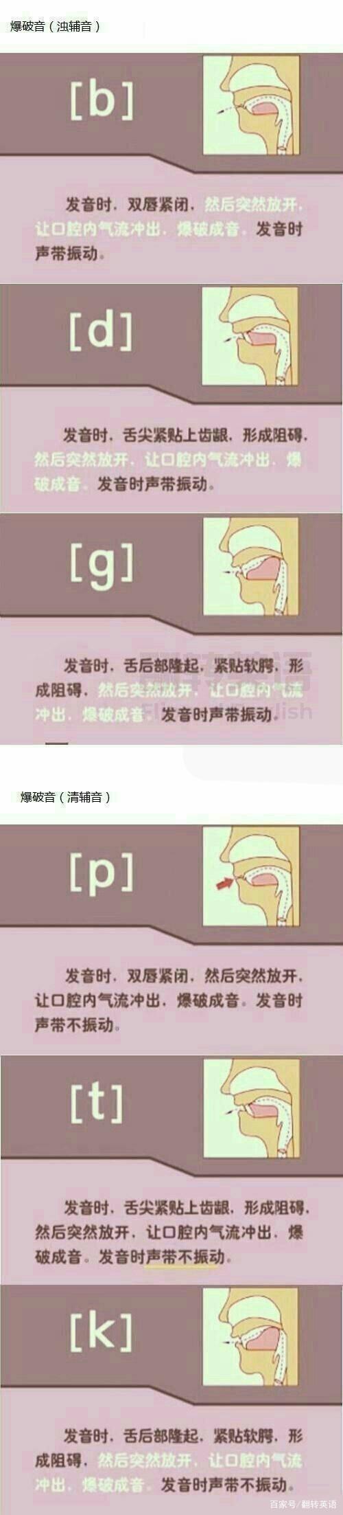 英语爆破音有哪些?英语爆破音举例?(知乎)-第6张图片-家教网 英语爆破音有哪些?英语爆破音举例?(知乎)-第6张图片-家教网