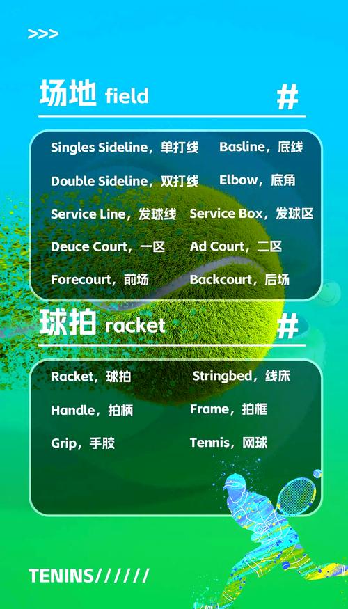网球用英语怎么说?她会打网球用英语怎么说?(知乎)-第2张图片-家教网 网球用英语怎么说?她会打网球用英语怎么说?(知乎)-第2张图片-家教网