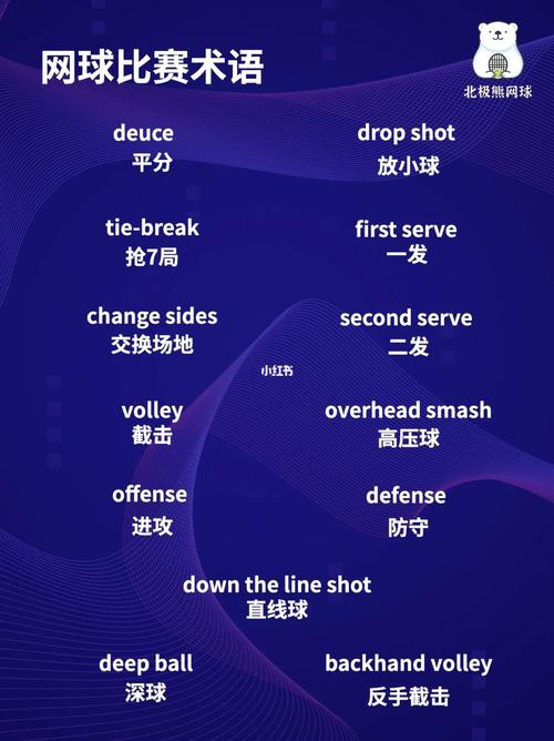 网球用英语怎么说?她会打网球用英语怎么说?(知乎)-第6张图片-家教网 网球用英语怎么说?她会打网球用英语怎么说?(知乎)-第6张图片-家教网