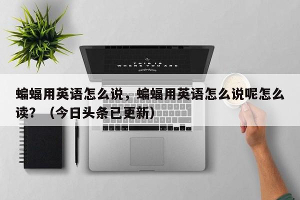 蝙蝠用英语怎么说，蝙蝠用英语怎么说呢怎么读？（今日头条已更新）-第1张图片-家教网